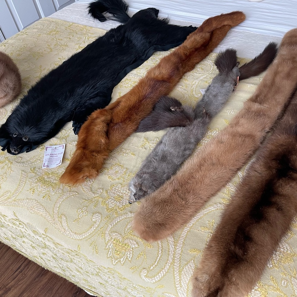 Vintage Fur Stole Lot